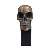 SKULL ART OBJECT