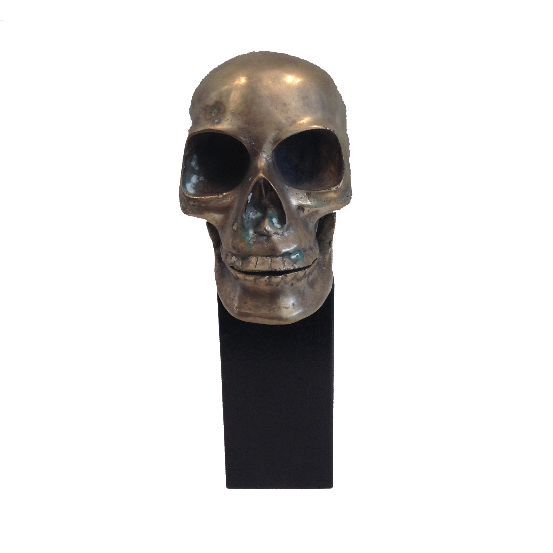 skull object