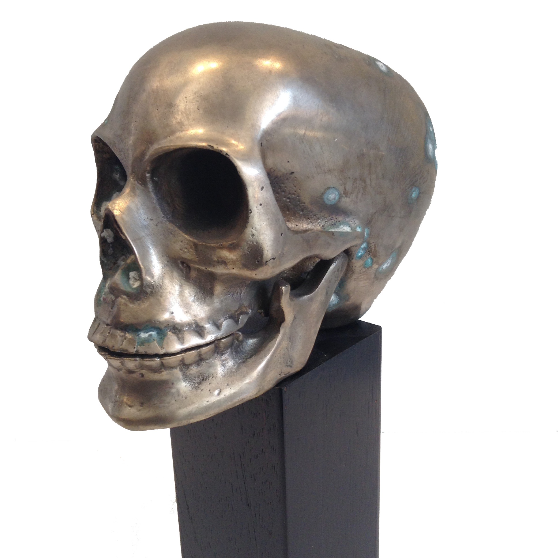 skull object